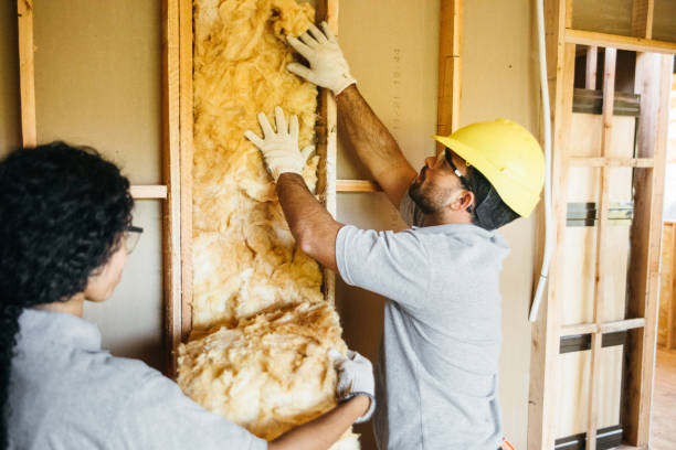 Best Spray Foam Insulation  in Royalton, IL