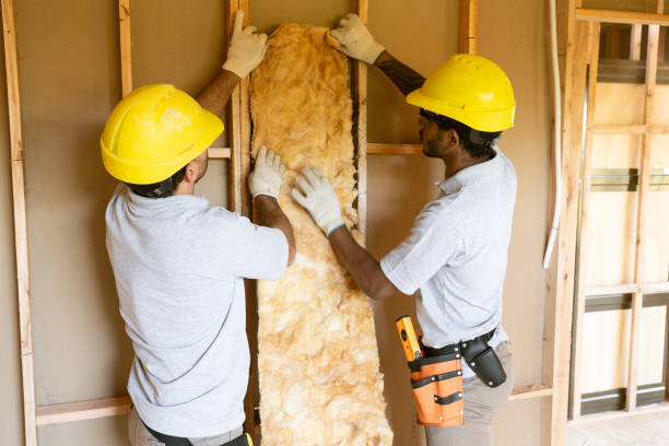 Best Attic Insulation Installation  in Royalton, IL